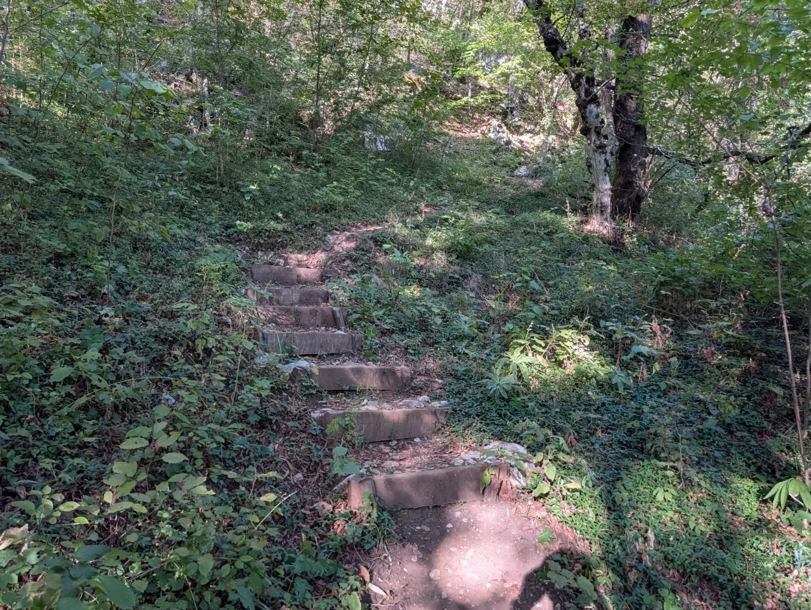 Fotografija poti