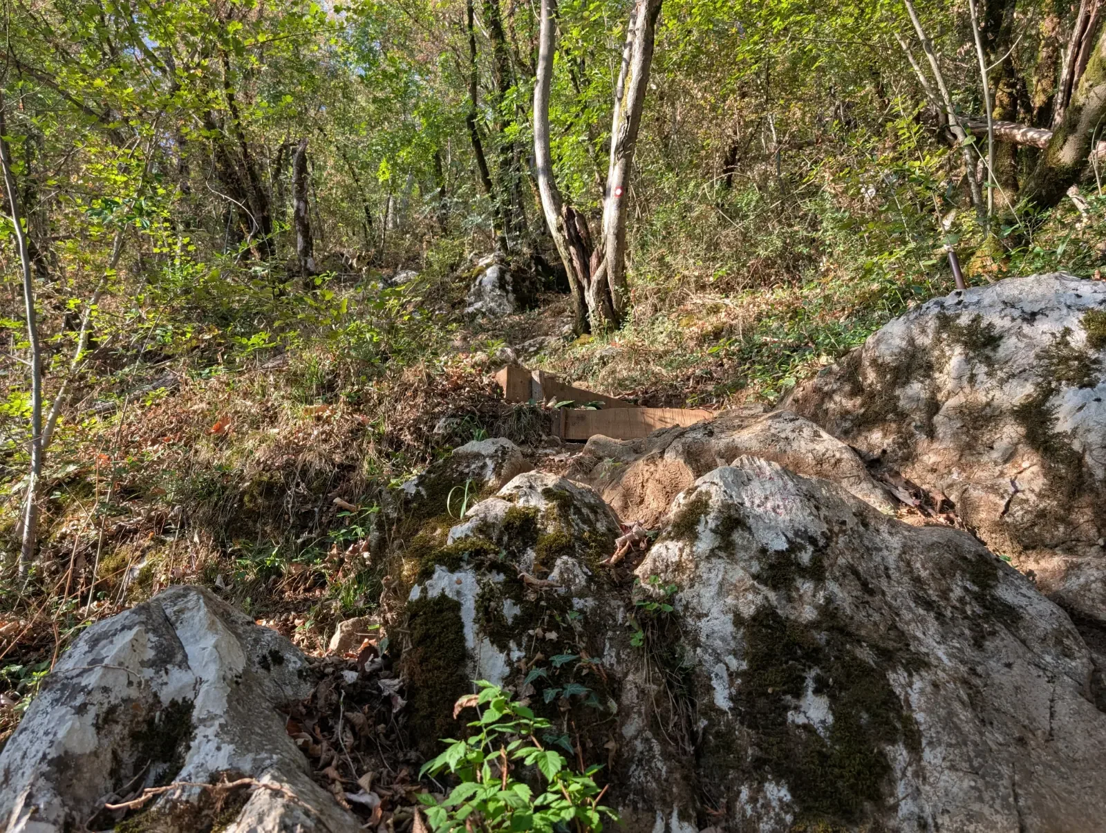 Fotografija poti