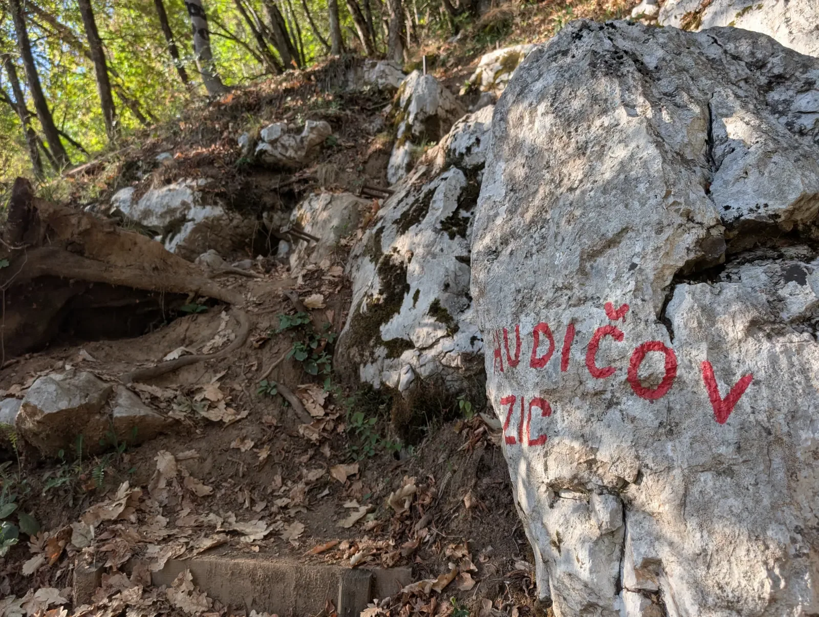 Fotografija poti