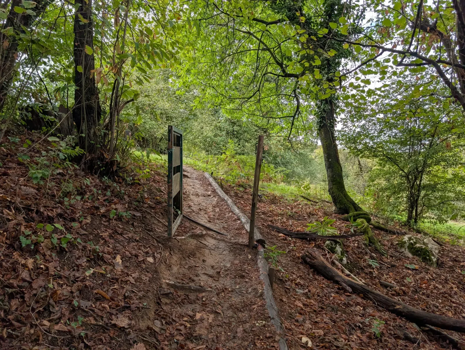 Fotografija poti