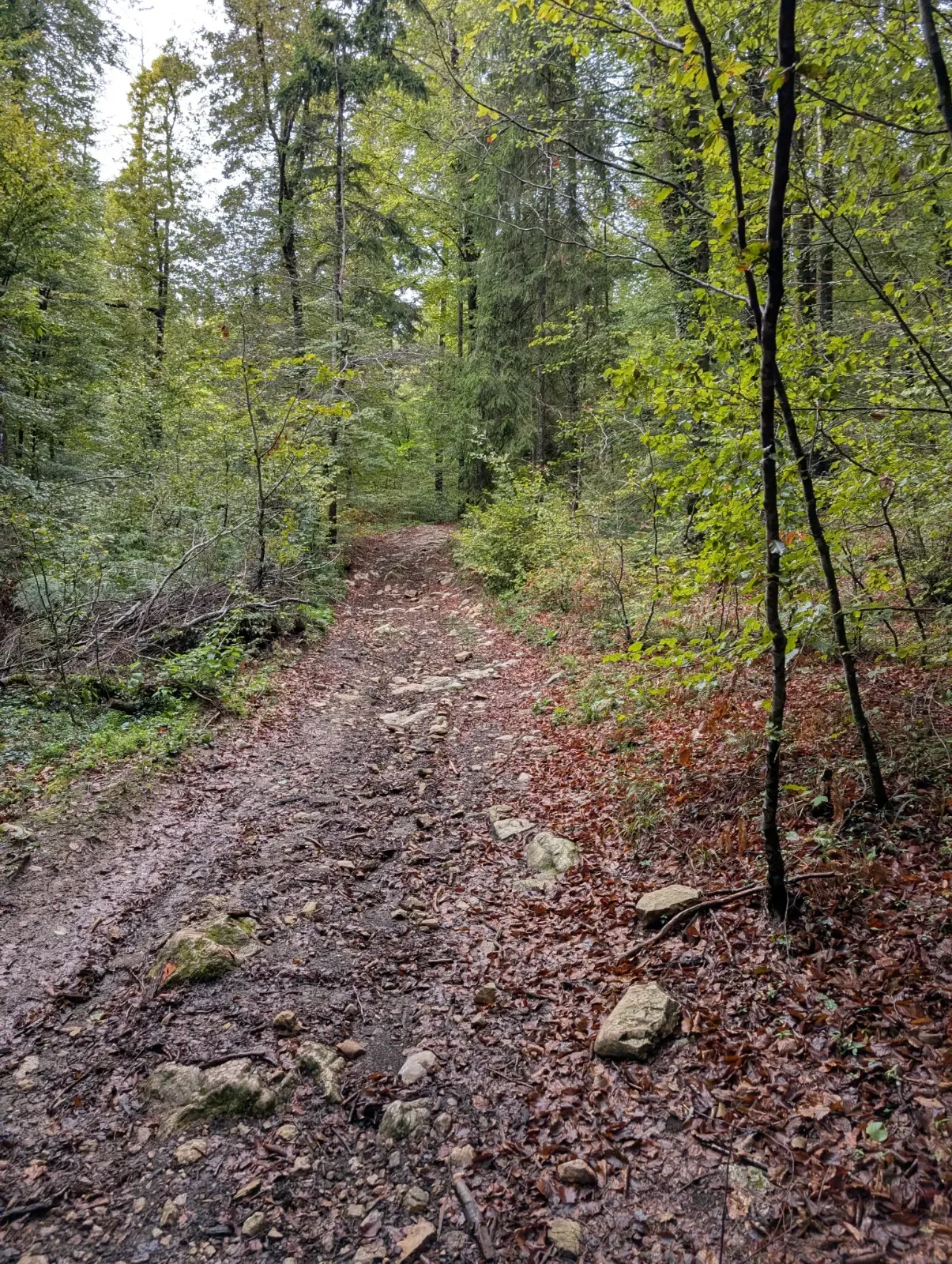 Fotografija poti