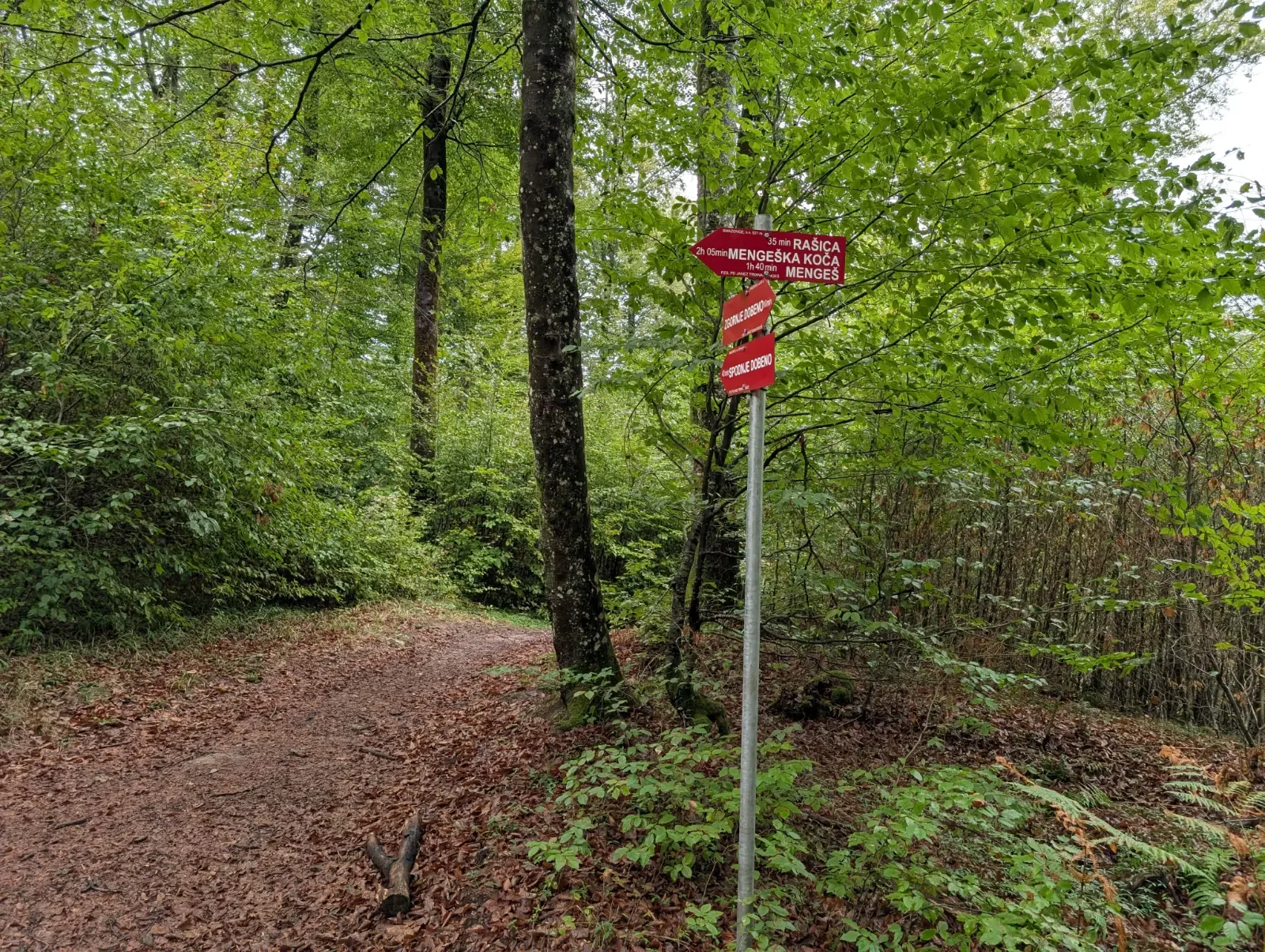 Fotografija poti