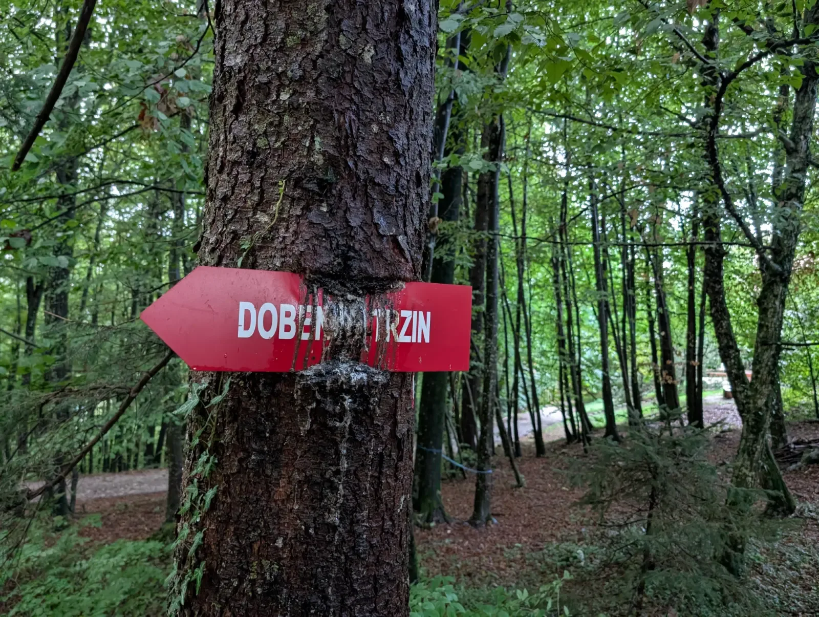 Fotografija poti