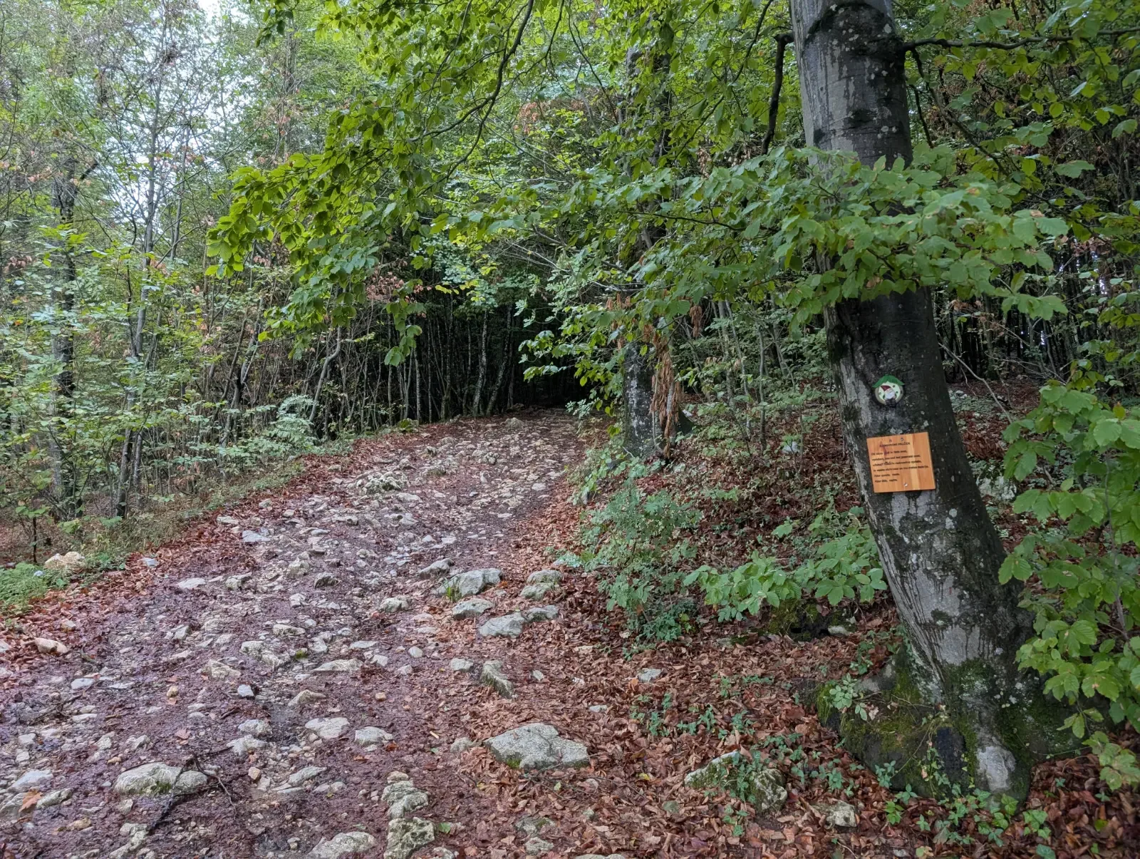Fotografija poti