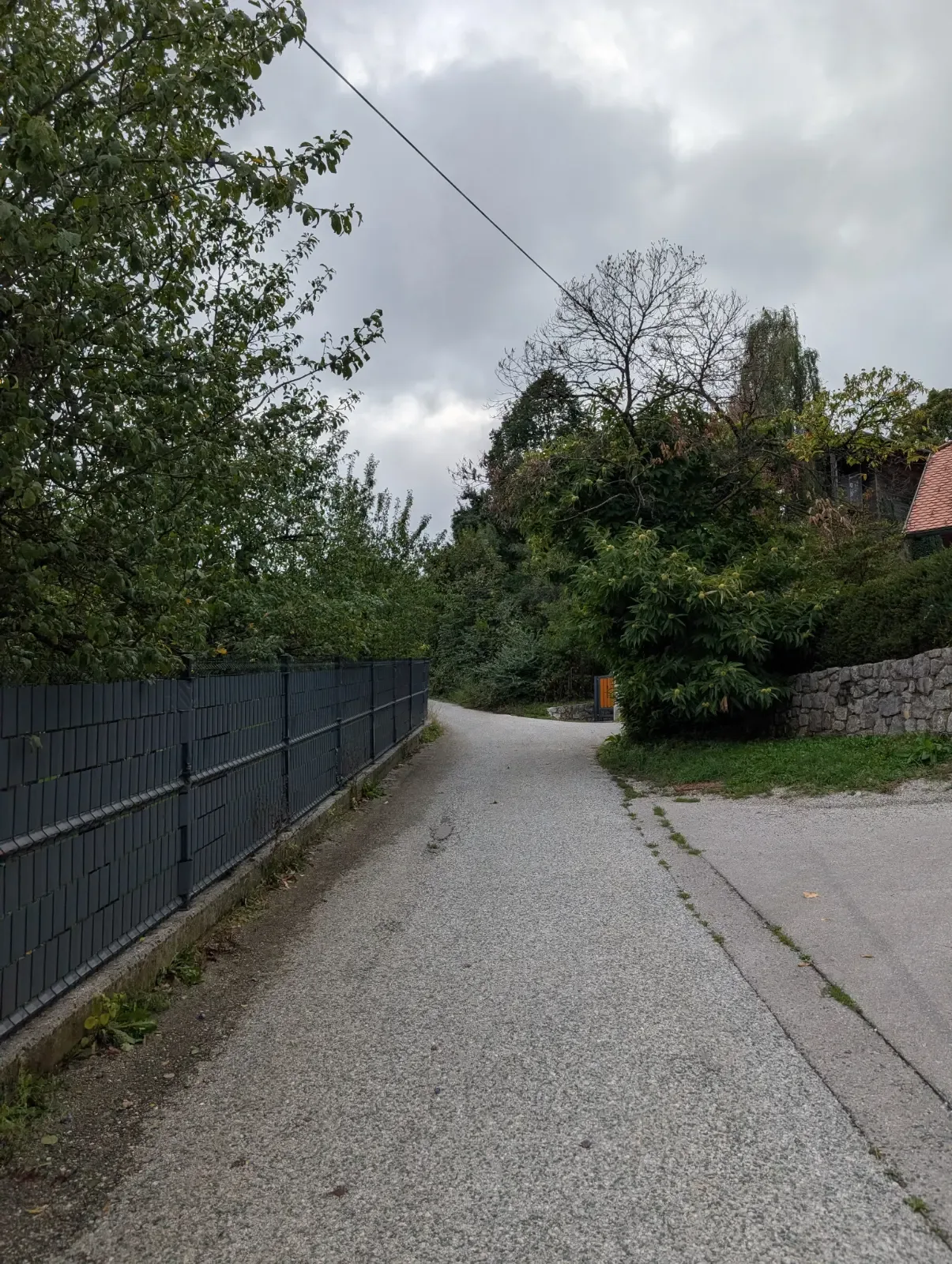 Fotografija poti