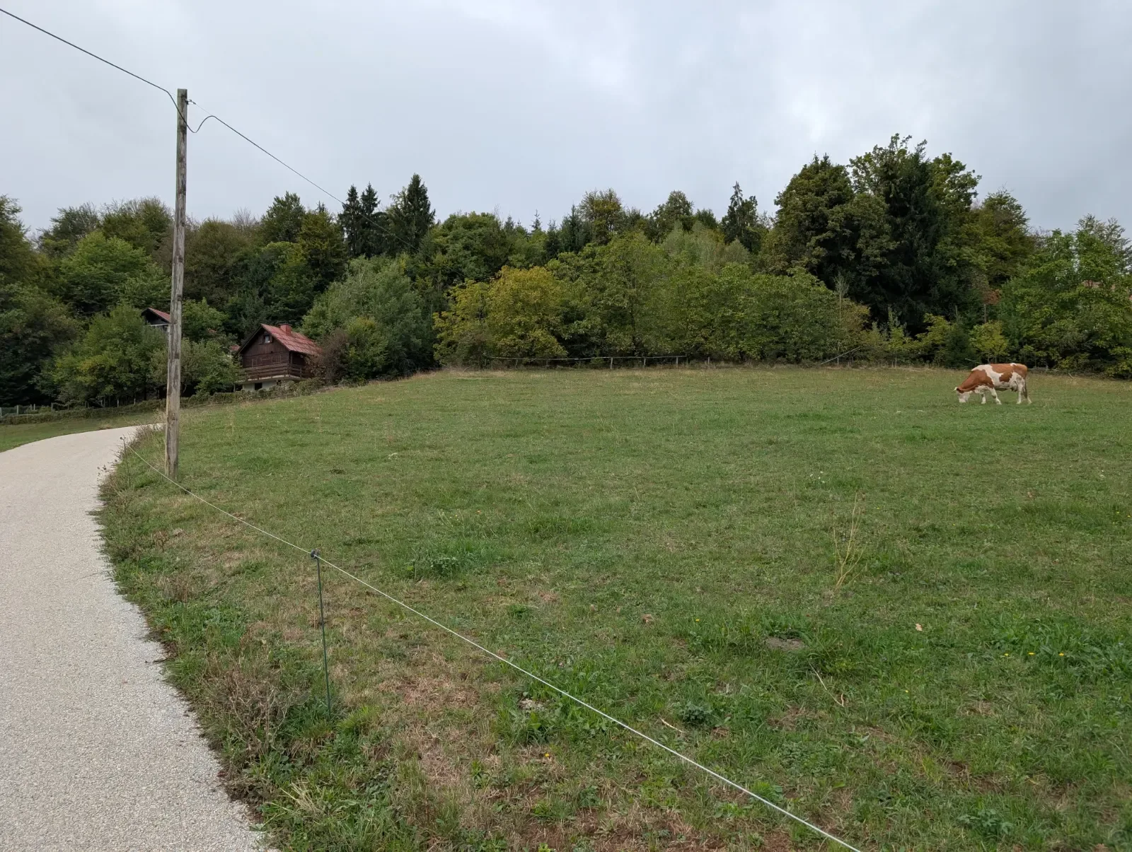 Fotografija poti